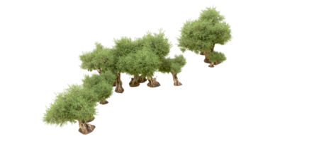 grön skog isolerat på bakgrund. 3d tolkning - illustration png