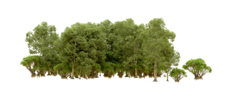 Green forest isolated on background. 3d rendering - illustration png