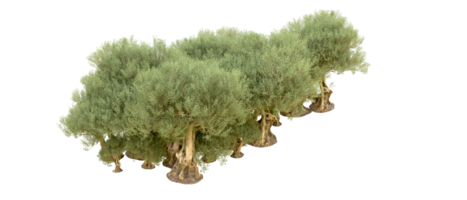 vert forêt isolé sur Contexte. 3d le rendu - illustration png