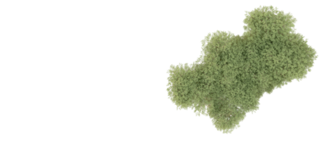 verde foresta isolato su sfondo. 3d interpretazione - illustrazione png