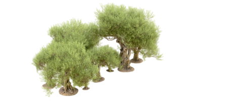 groen Woud geïsoleerd Aan achtergrond. 3d renderen - illustratie png