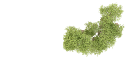 verde floresta isolado em fundo. 3d Renderização - ilustração png