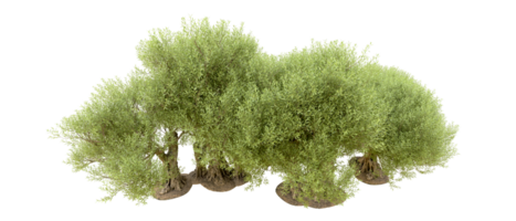 groen Woud geïsoleerd Aan achtergrond. 3d renderen - illustratie png