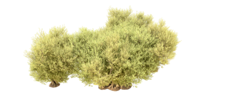 groen Woud geïsoleerd Aan achtergrond. 3d renderen - illustratie png