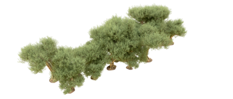 groen Woud geïsoleerd Aan achtergrond. 3d renderen - illustratie png