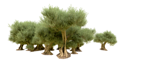 verde foresta isolato su sfondo. 3d interpretazione - illustrazione png