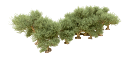 groen Woud geïsoleerd Aan achtergrond. 3d renderen - illustratie png