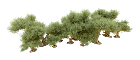 groen Woud geïsoleerd Aan achtergrond. 3d renderen - illustratie png