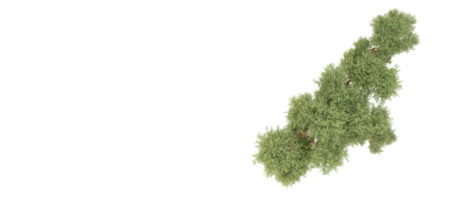 groen Woud geïsoleerd Aan achtergrond. 3d renderen - illustratie png