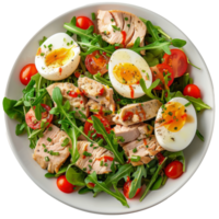 Fresh Salad With Hard Boiled Eggs on White Plate png