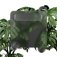 3d rendering glassmorphism with monstera png