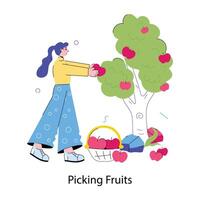 Trendy Picking Fruits vector