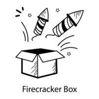 Trendy Firecracker Box vector