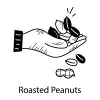 Trendy Roasted Peanuts vector