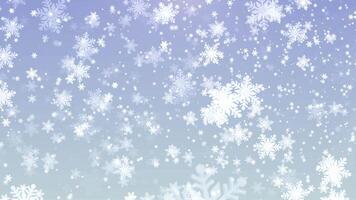 christmas white snowflakes-falling video
