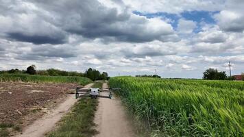 quadcopter fuco volante al di sopra di un' rurale sentiero con lussureggiante verde i campi sotto un' nuvoloso cielo, raffigurante tecnologia nel agricoltura e all'aperto tempo libero attività video