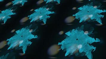 elektrisch Blau Blumen erstellen ein auffällig Muster auf ein schwarz Hintergrund video