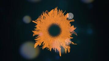 färgrik vibrerande blomma löv vinka rörelse grafisk bakgrund video