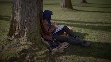 Jeune Créatif Masculin artiste dessin une esquisser à l'extérieur dans le parc video