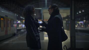 een hartverwarmend van relaties Bij een trein station, tonen momenten van knuffel, gesprek, en gezelschap tussen een Mens en een vrouw, reeks beide gedurende de dag en Bij nacht video