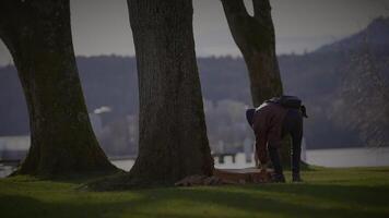 Jeune Masculin en voyageant en marchant dans parc à la recherche à des arbres à l'extérieur video