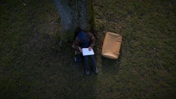 Cinematic Aerial View of Artist Creating Drawing in Park Outside video