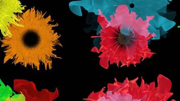 colorida vibrante flor folhas acenando movimento gráfico fundo video
