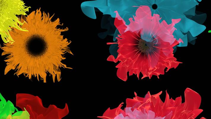 Flower Animation Stock Video Footage for Free Download
