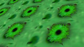 macro fotografía de verde superficie con agujeros, exhibiendo botánico belleza video