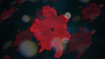 skön blomning blommor flora mönster textur dekoration bakgrund video