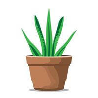 Aloe vera in a pot isolated on white background. hand drawn. vector