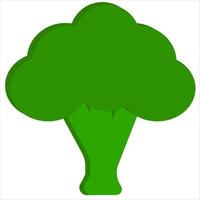 broccoli simple icon vector