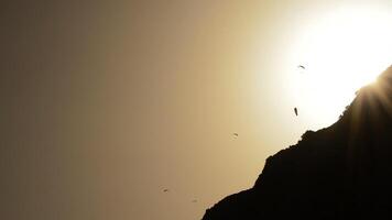 paragliders beoefenen de sport van paragliden in de berg Bij zonsondergang video