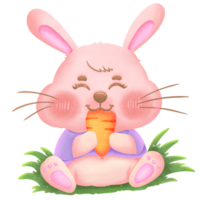 cute bunny easter png