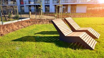 Wooden benches in a beautiful park garden. photo