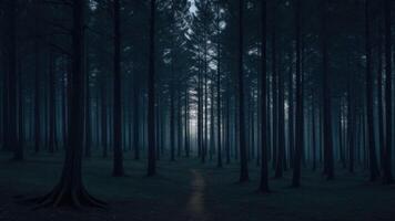 Autumn dark tree forest panorama landscape photo