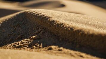 un cerca arriba de un arena duna de el Desierto foto