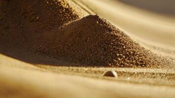 a close up of a sand dune of the desert photo