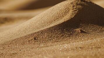 a close up of a sand dune of the desert photo