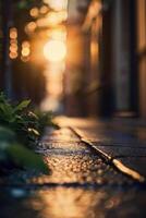 a street with cars parked on it at sunset photo