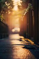 a street with cars parked on it at sunset photo