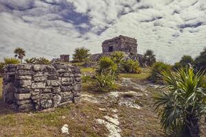 Mayan complex of Tulum photo