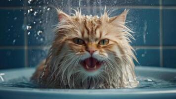 AI generated Wet Cat during bath in the tub photo