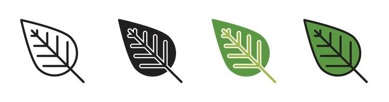 Leaf icon set vector