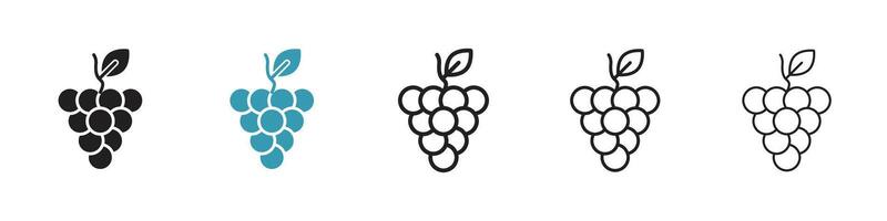 Grape icon set vector