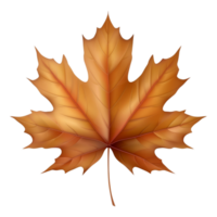 maple leaf on transparent background png