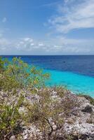 Turquoise ocean view from rocky cliff with vegetation. photo