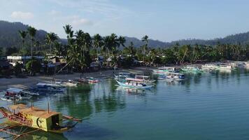 visvangst boten Bij zonsopkomst in de buurt de kust met palm bomen video