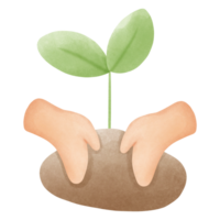 Plant seedling growing and Hand holding a sprout png