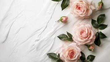 Pink Rose flowers on white texture background with copy space top view. Flat lay of organic plant and table with empty place for text. happy Mother and Women day. Wedding invitation photo